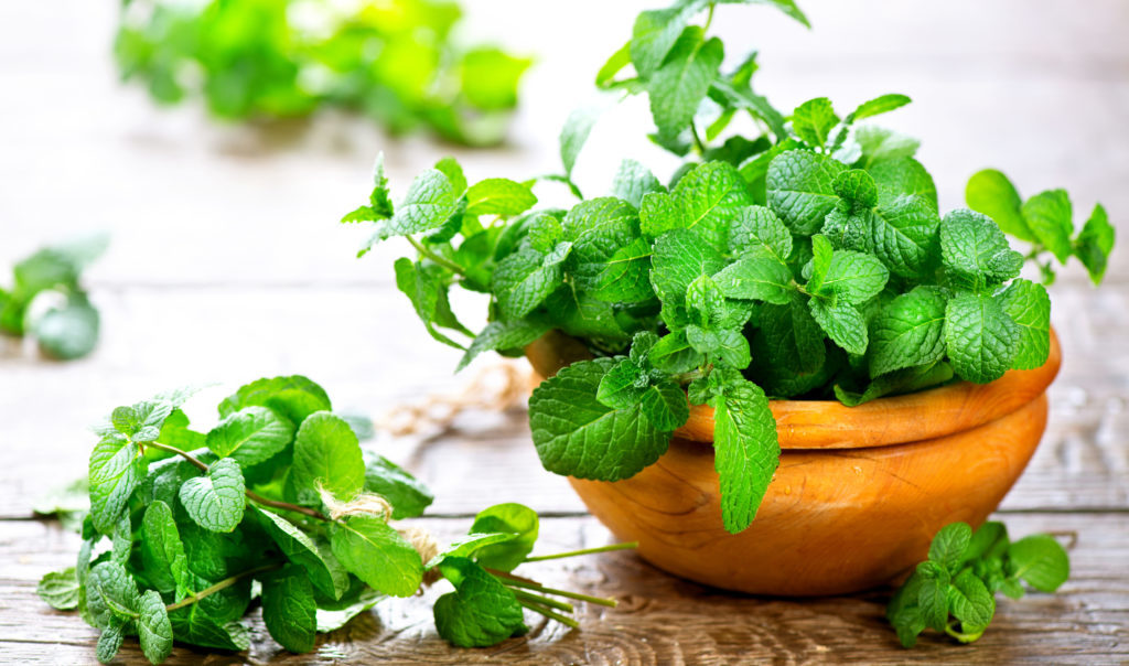 Đã mắt với những loại cây siêu xinh, rinh về ngay phòng tắm