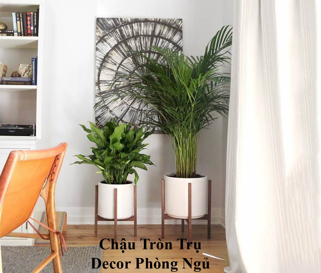 Ba cách Decor chậu cây trong biệt thự-6