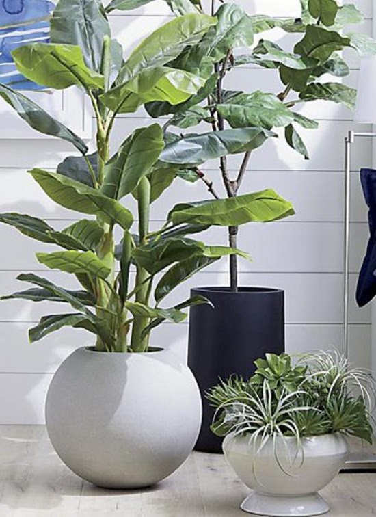 Ba cách Decor chậu cây trong biệt thự-8