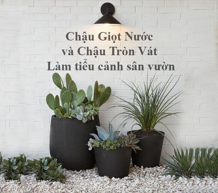 Ba cách Decor chậu cây trong biệt thự-10