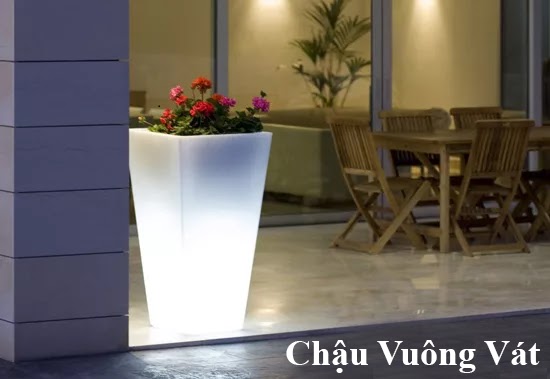 Ba cách Decor chậu cây trong biệt thự-7