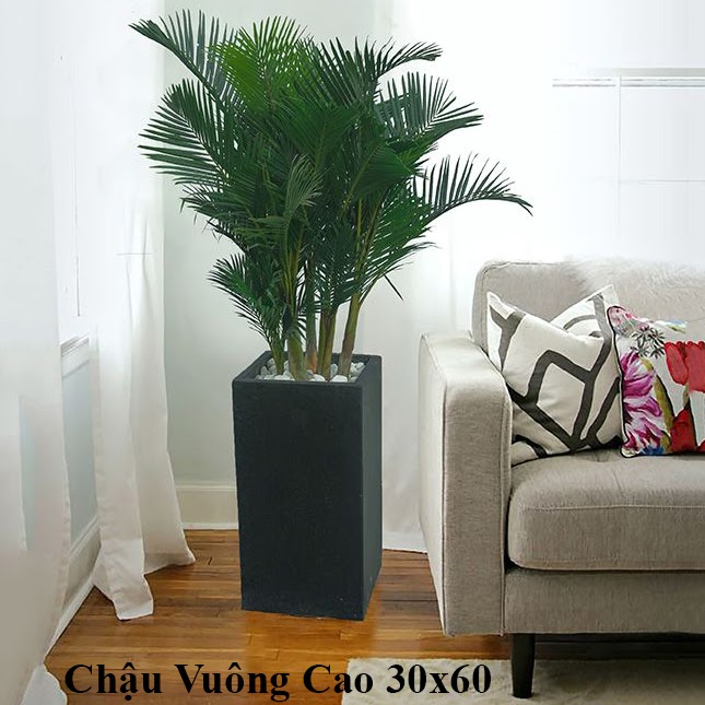 Ba cách Decor chậu cây trong biệt thự-3