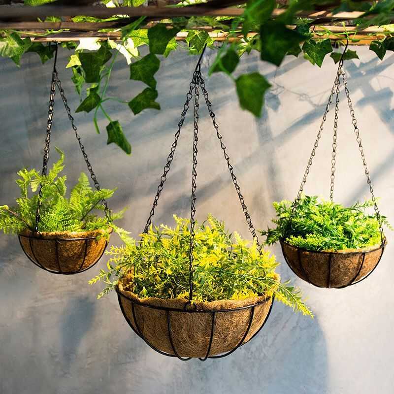 Những mẫu chậu trồng cây ban công đẹp-9