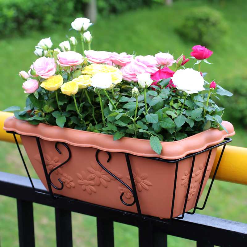 Những mẫu chậu trồng cây ban công đẹp-4
