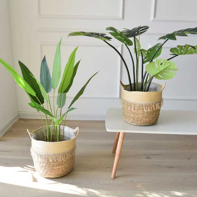 Những mẫu chậu trồng cây ban công đẹp-5