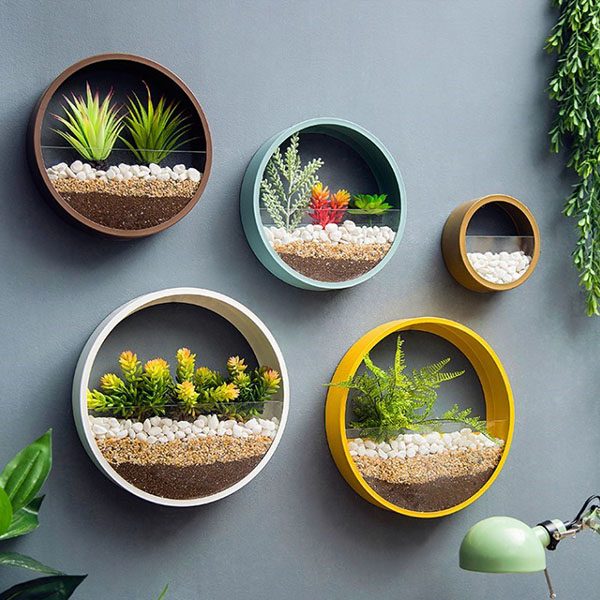 Bí kíp vàng khi trang trí phòng khách bằng cây xanh