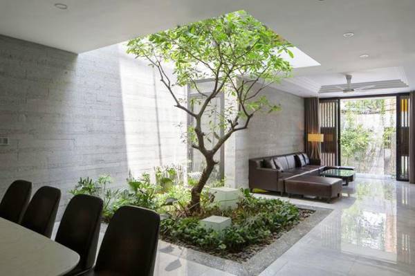 Bí kíp vàng khi trang trí phòng khách bằng cây xanh-19