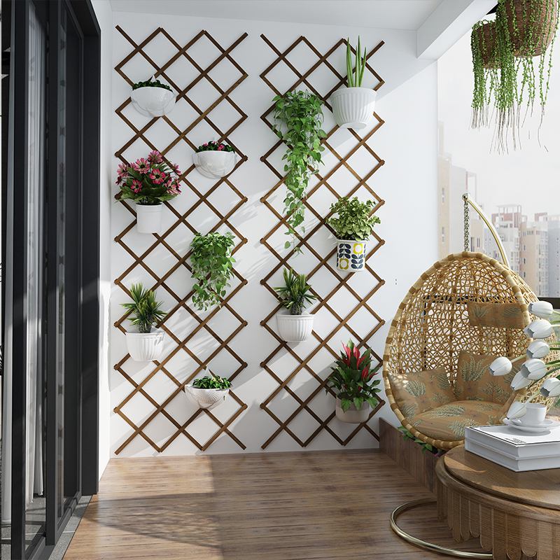 Bí kíp vàng khi trang trí phòng khách bằng cây xanh-4