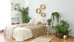 ƯU ĐÃI CHẬU TRỨNG CỰC HOT TẠI TIKI, SHOPEE, LAZADA