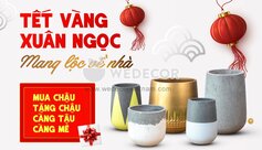 TẾT VÀNG XUÂN NGỌC - MANG LỘC VỀ NHÀ