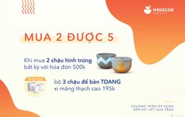 QUÀ TẶNG THÁNG 10 - TẶNG BỘ 3 CHẬU ĐỂ BÀN TDANG XI MĂNG THẠCH CAO