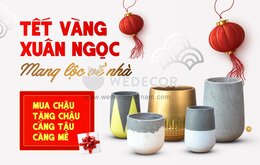 TẾT VÀNG XUÂN NGỌC - MANG LỘC VỀ NHÀ