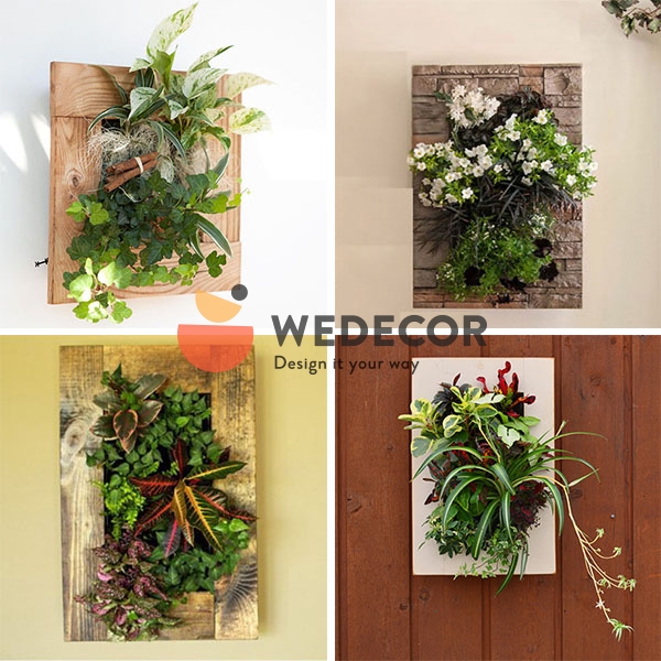 trang trí cây cảnh trong nhà 