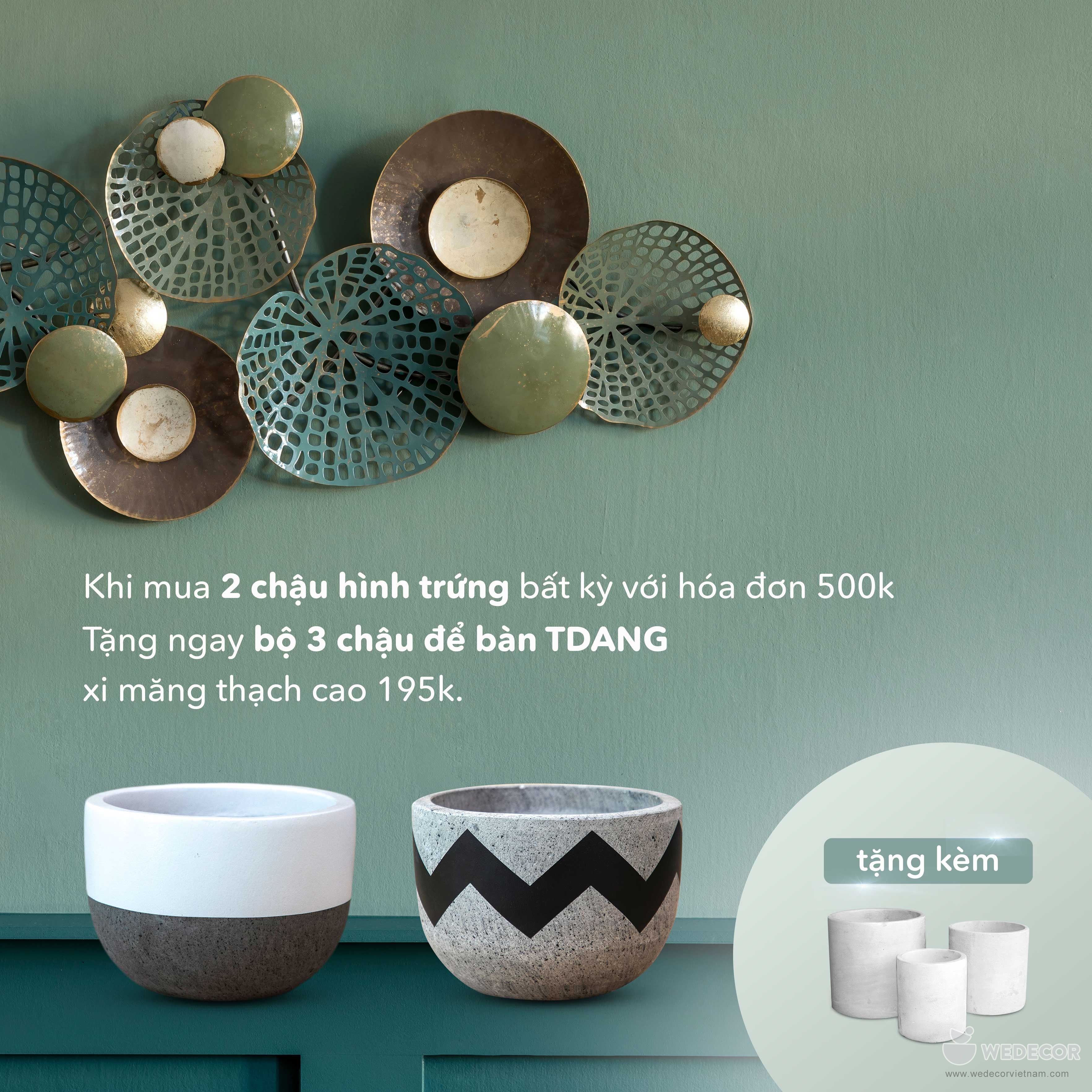 Tặng bộ 3 chậu để bàn TDANG