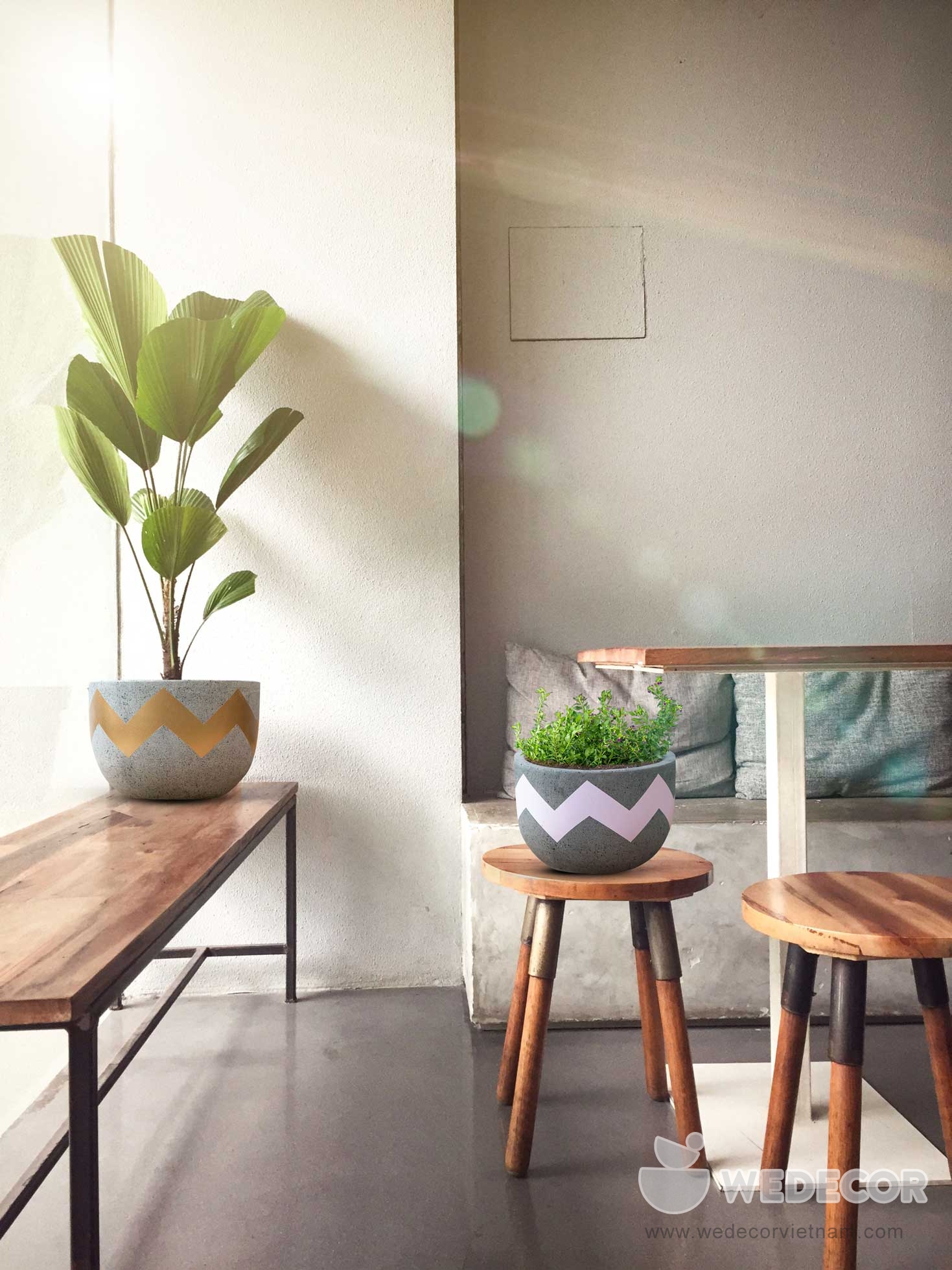 cách bài trí chậu hình trứng