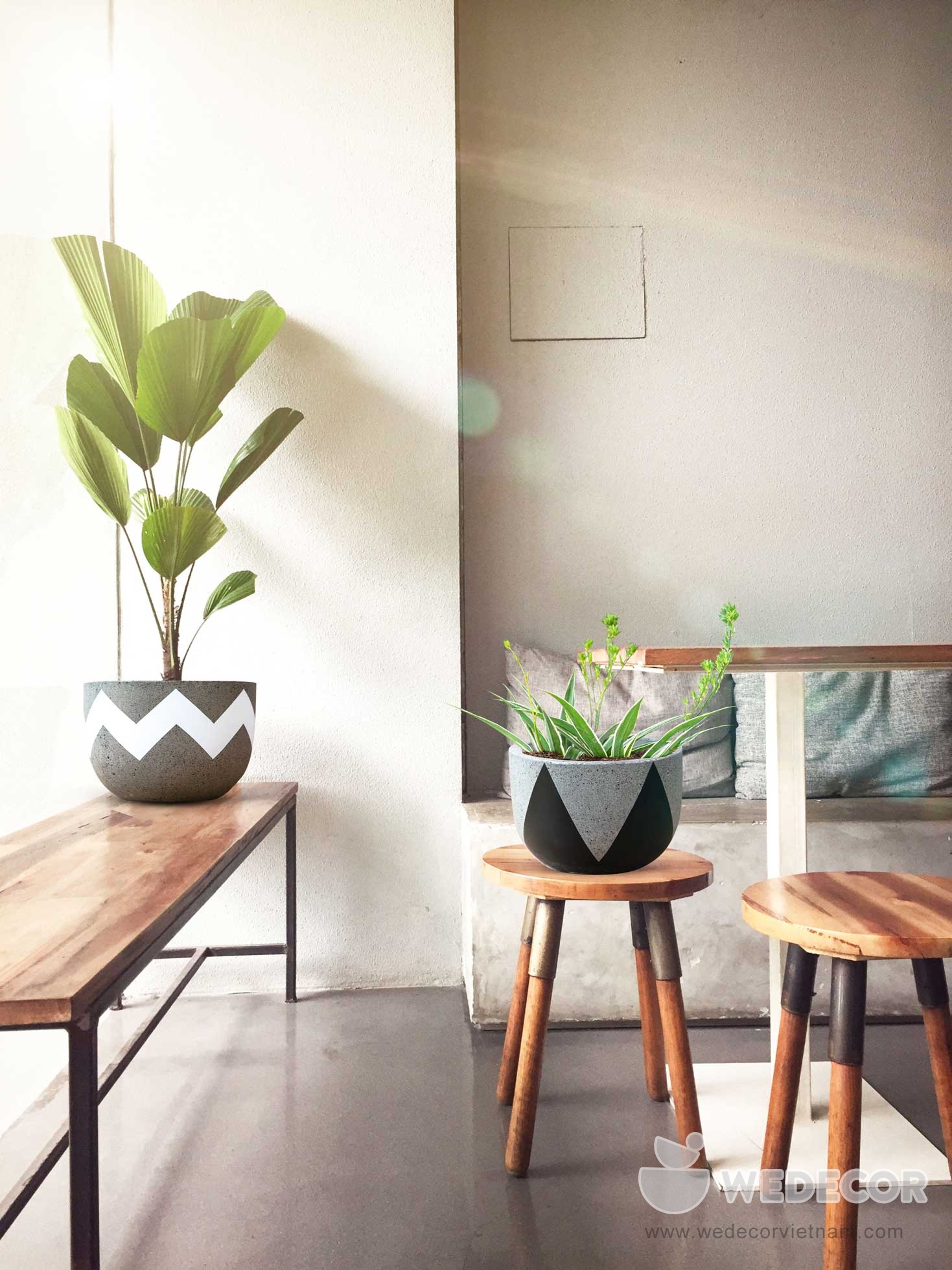 ưu đãi chậu trứng trên các sàn thương mại