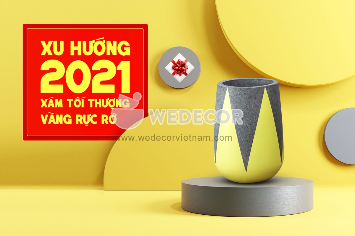 Chậu Wedecor 2021
