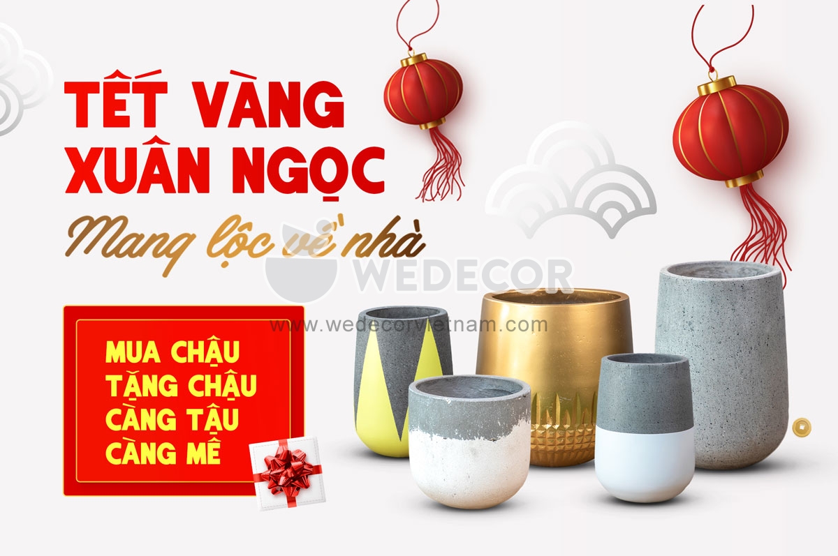 Chương trình Tết Wedecor